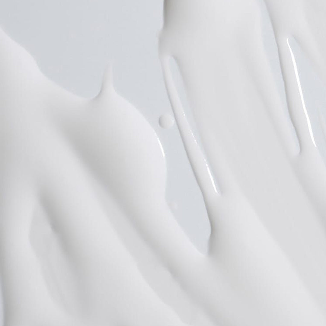 Michelle Peters S.A.