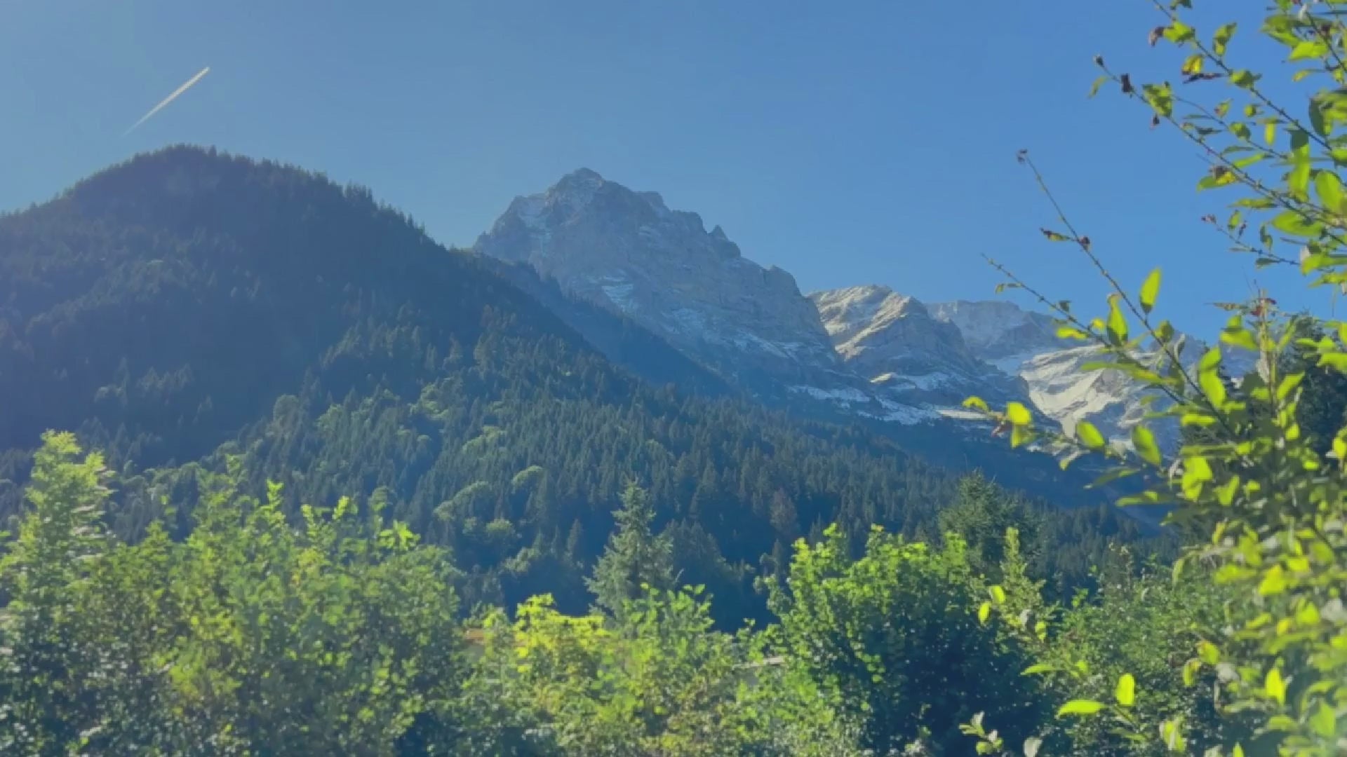 Load video: Swiss Luxury Skincare