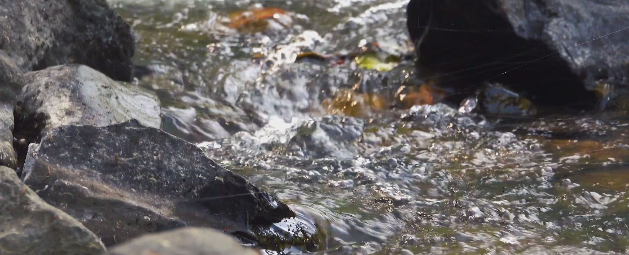 Video laden: 