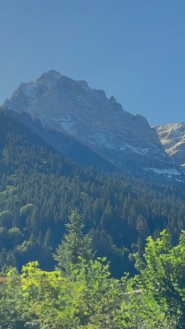 Load video: Swiss Luxury Skincare